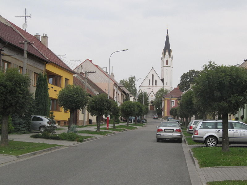 Vyklízení Dolní Němčí